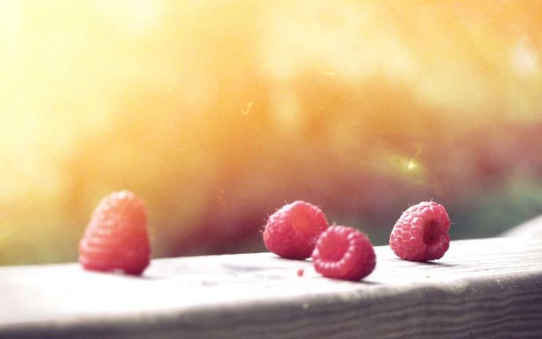 Blog Content for Niche Site